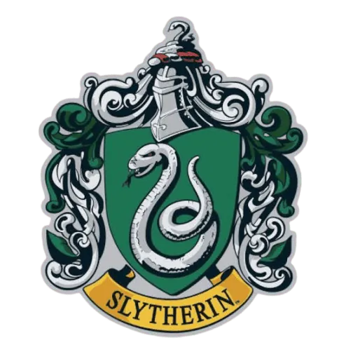 Image posted by the member
