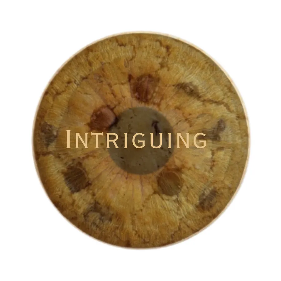 Image posted by the member