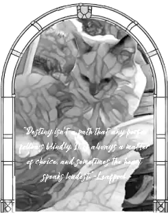 Image posted by the member