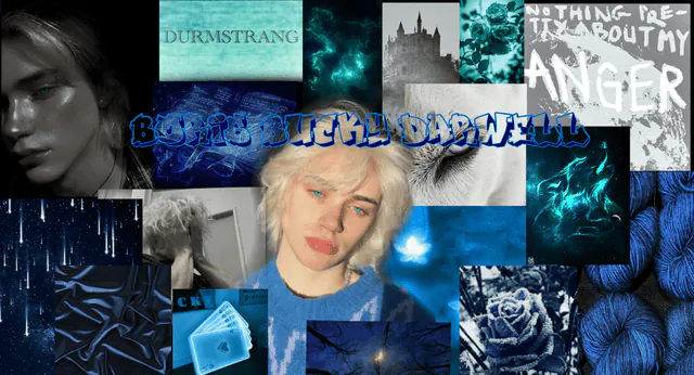 Image posted by the member