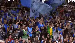 Image posted by the member