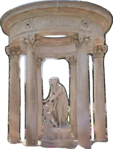 Image posted by the member