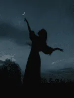 Image posted by the member