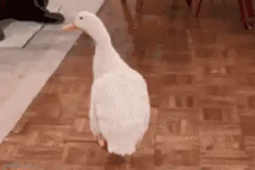 Image posted by the member