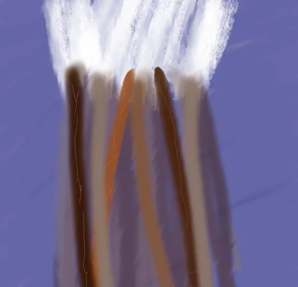 Image posted by the member