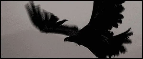 Image posted by the member