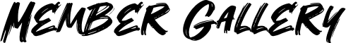 Image posted by the member