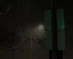 Image posted by the member