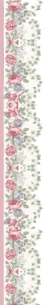 Image posted by the member