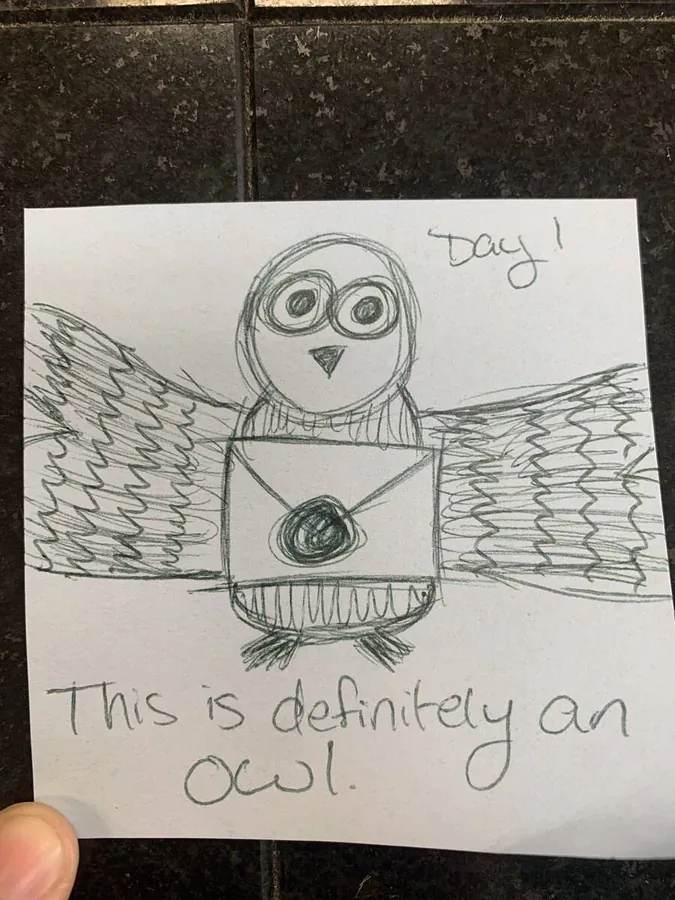 Image posted by the member