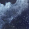 Image posted by the member