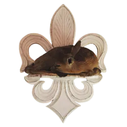 Image posted by the member