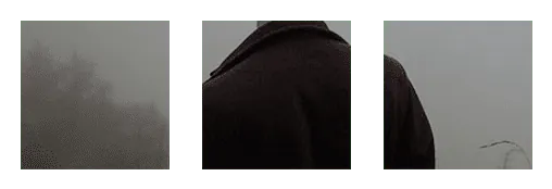 Image posted by the member