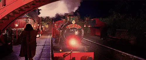 Image posted by the member