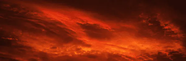 Image posted by the member