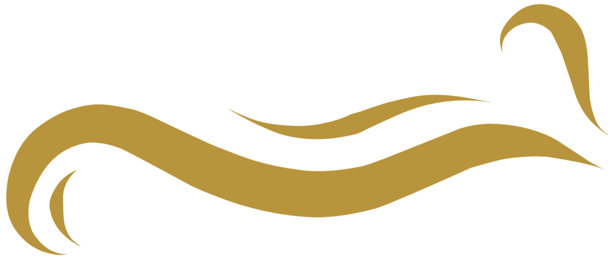 Image posted by the member