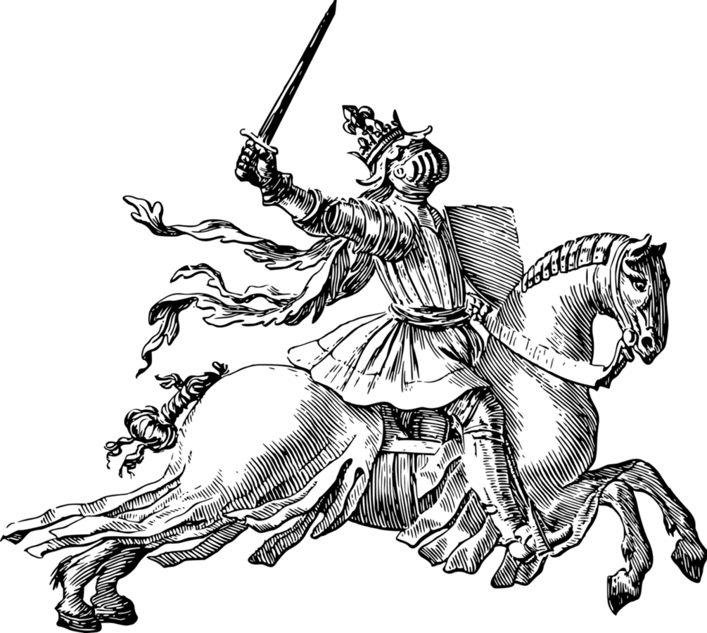 Image posted by the member