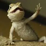 Image posted by the member