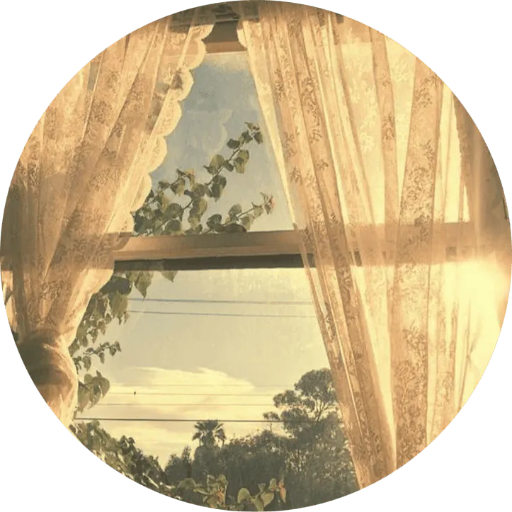 Image posted by the member
