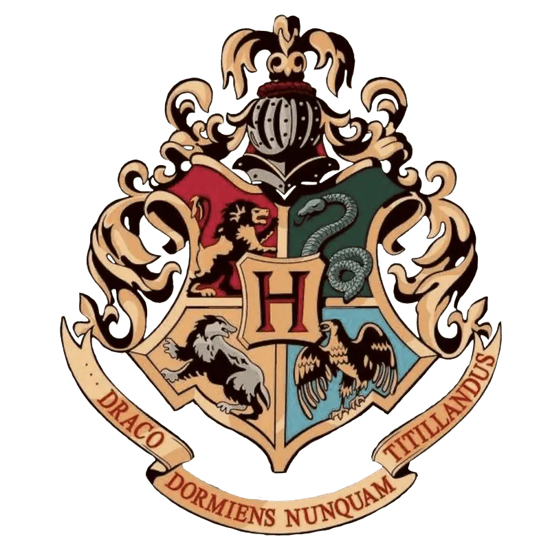 Image posted by the member