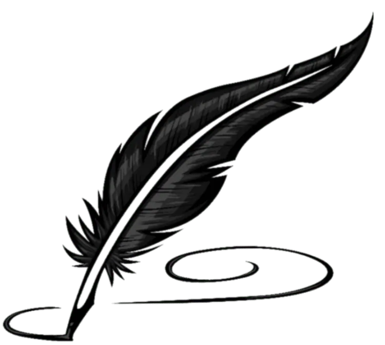 Image posted by the member