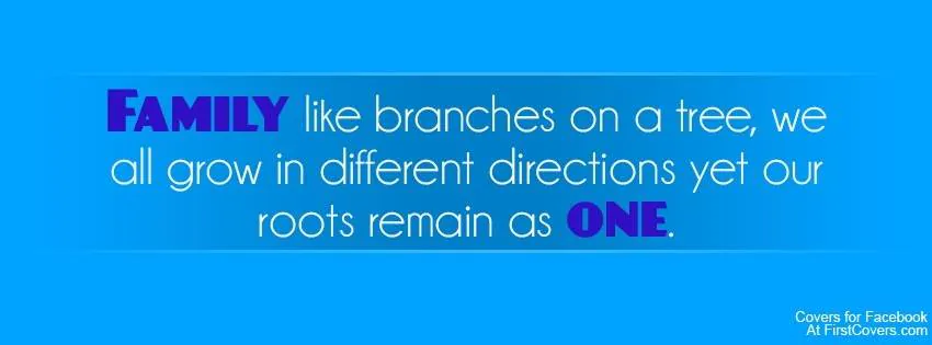 Image posted by the member
