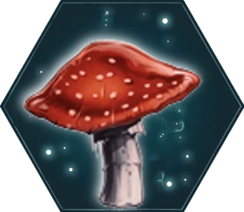 Image posted by the member