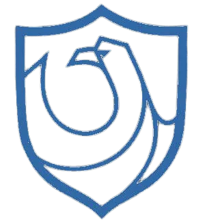 Image posted by the member