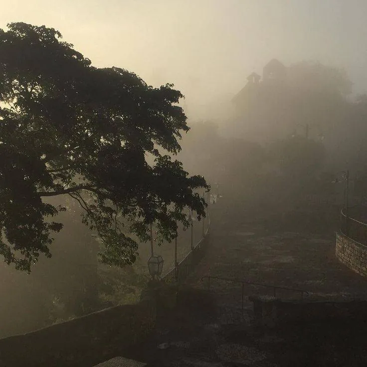 Image posted by the member