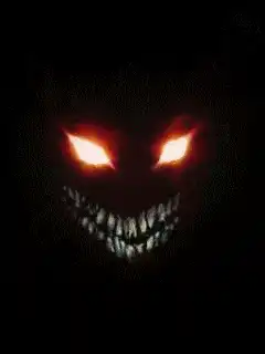Image posted by the member