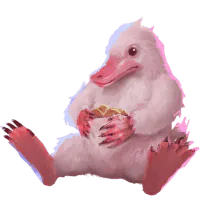 Image posted by the member
