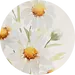 Image posted by the member