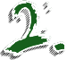 Image posted by the member