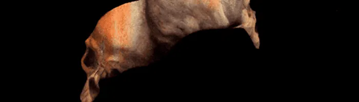 Image posted by the member