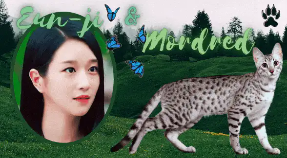 Image posted by the member