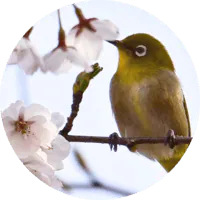 Image posted by the member