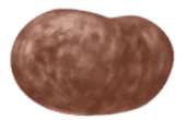 Image posted by the member
