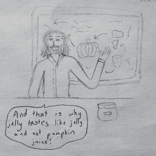 Image posted by the member
