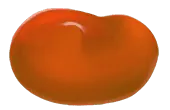 Image posted by the member