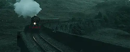 Image posted by the member