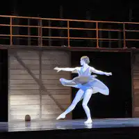 Image posted by the member