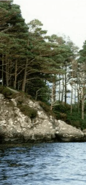 Image posted by the member