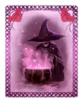 Image posted by the member