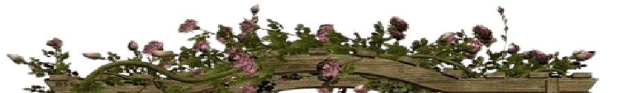 Image posted by the member