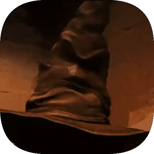 Image posted by the member