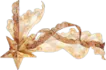 Image posted by the member
