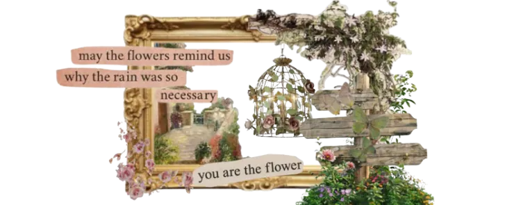 Image posted by the member