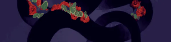 Image posted by the member