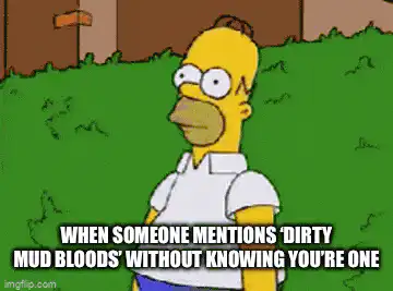 Image posted by the member