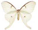 Image posted by the member